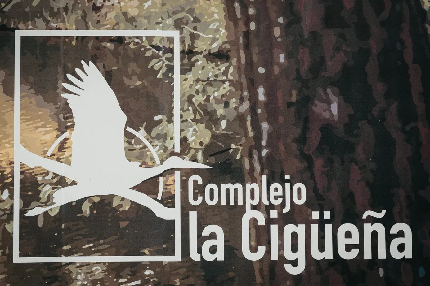 Fotógrafo de bodas en Complejo La Cigüeña