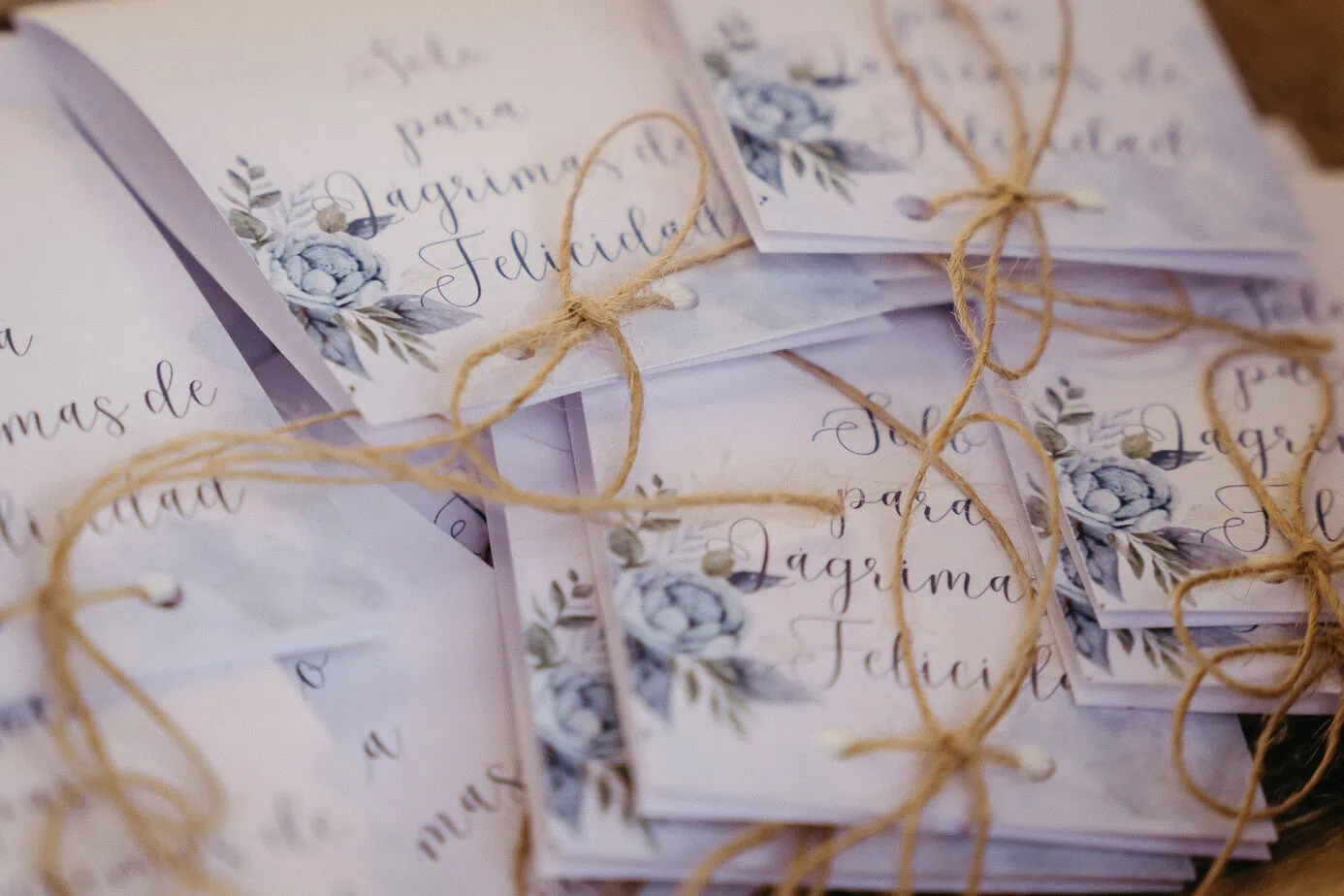 wedding details pre ceremony complejo la ciguena ()