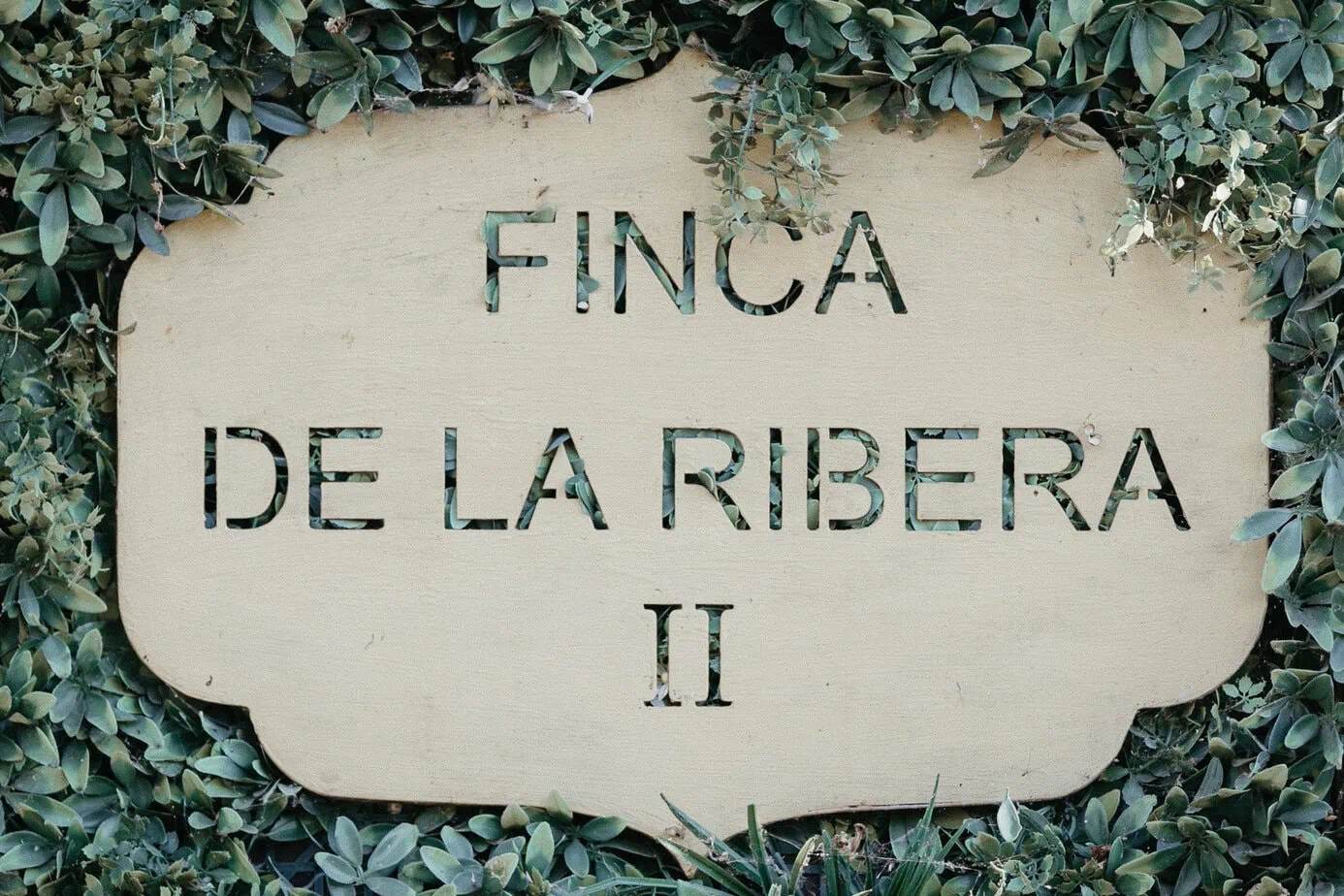 wedding details preceremony la ribera ii inbodas ()