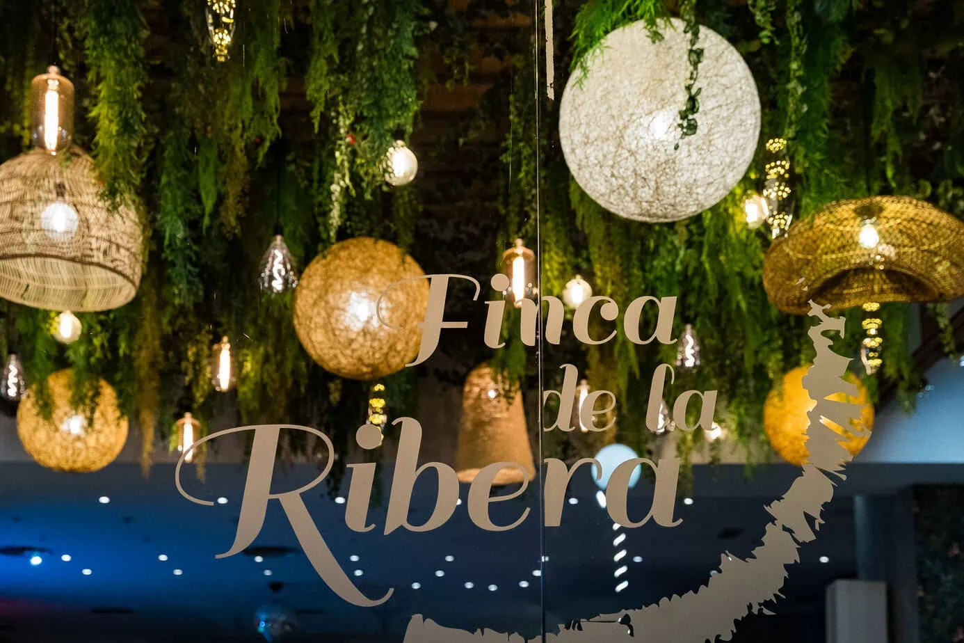 wedding party dance fotoarte c ()