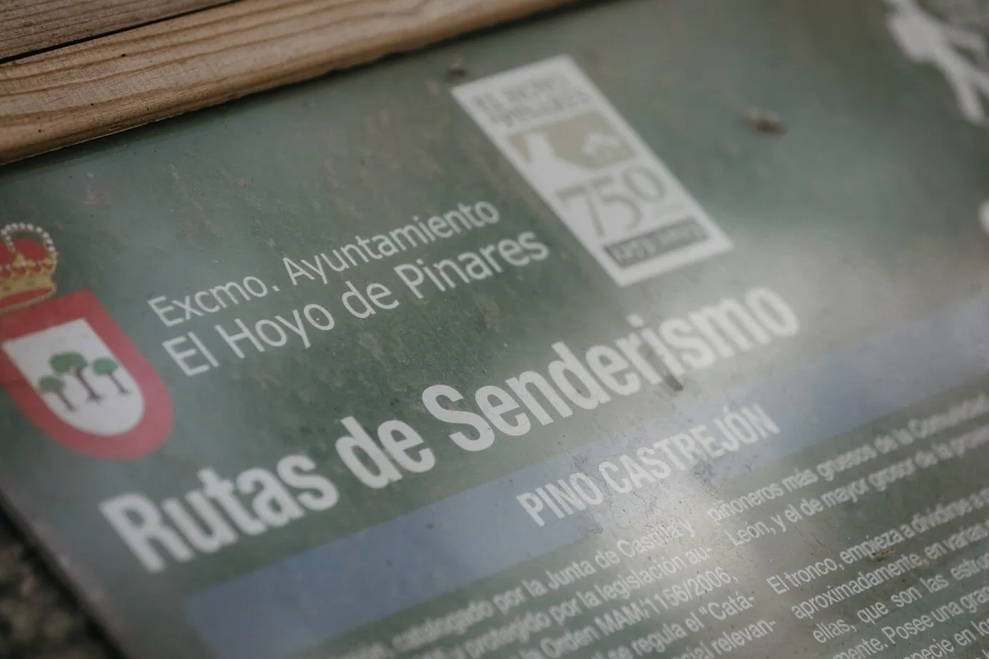 reportaje preboda documental editorial hoyo de pinares avila fotoarte c ()