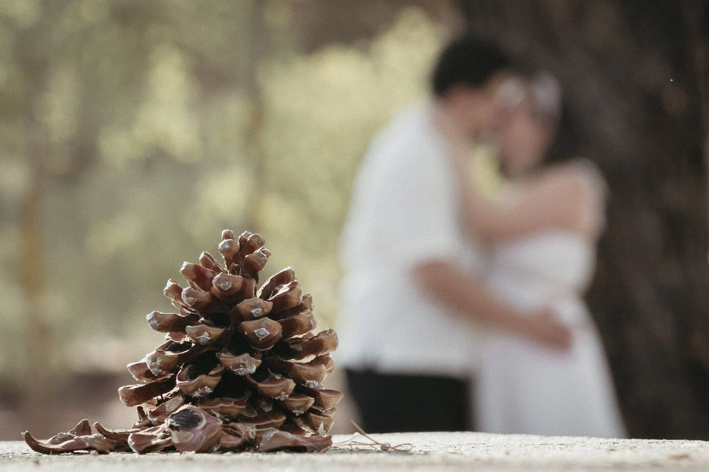 reportaje preboda documental editorial hoyo de pinares avila fotoarte c ()