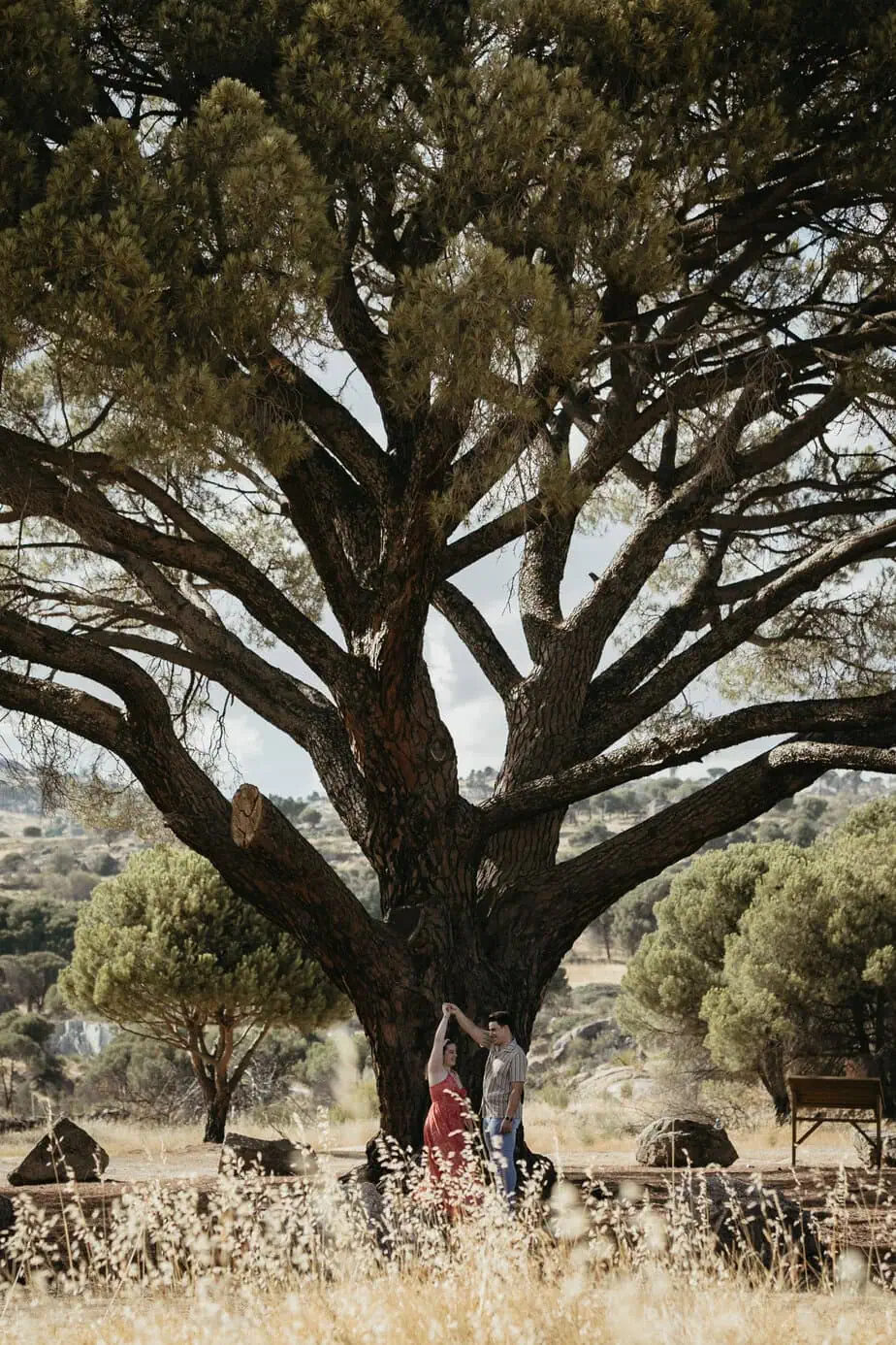 reportaje preboda documental editorial hoyo de pinares avila fotoarte c ()