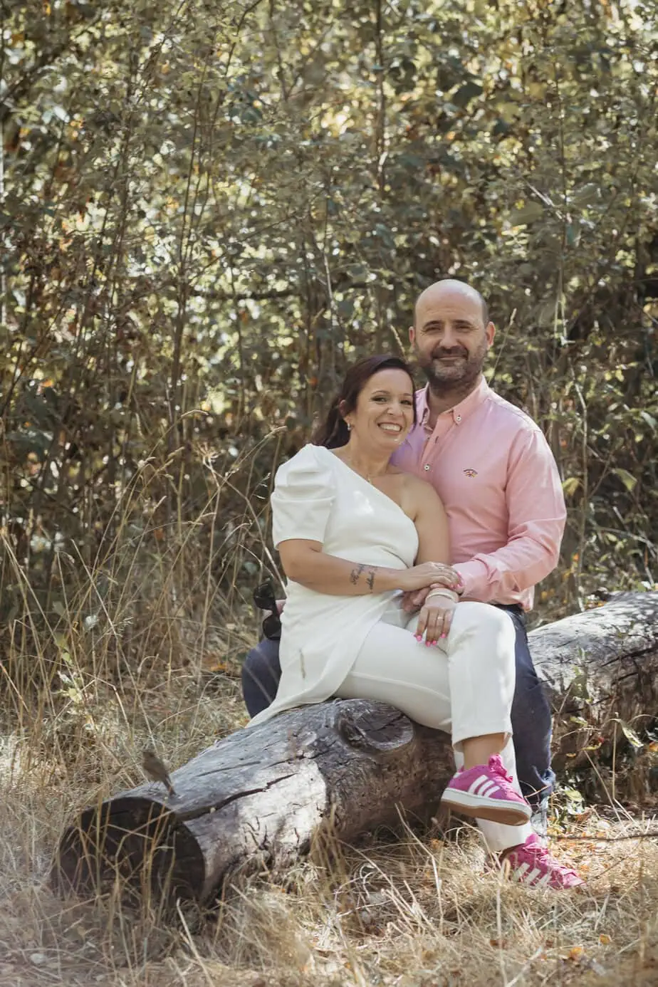 preboda bosque finlandes rascafria paseo bosque fotoarte c ()