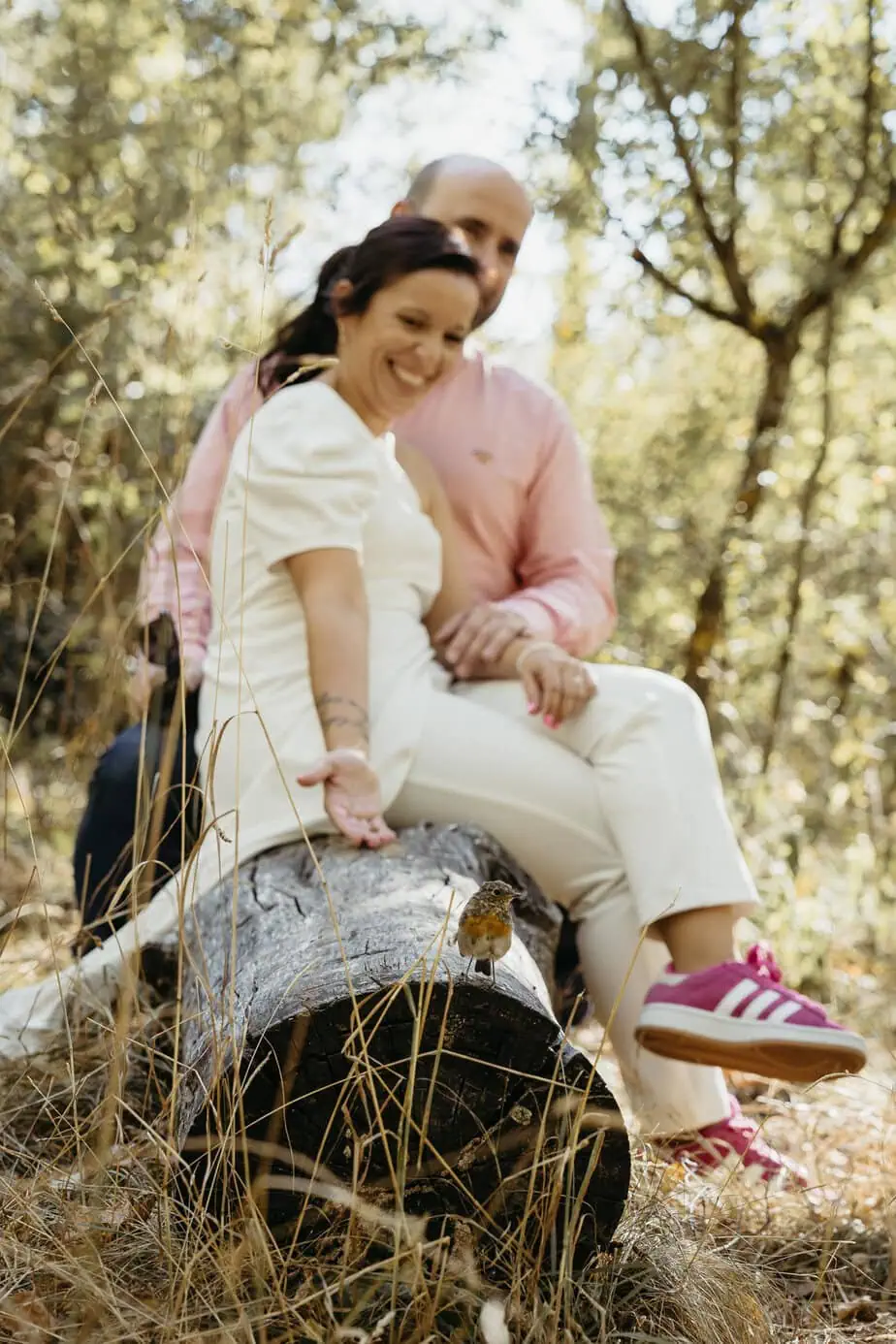 preboda bosque finlandes rascafria paseo bosque fotoarte c ()