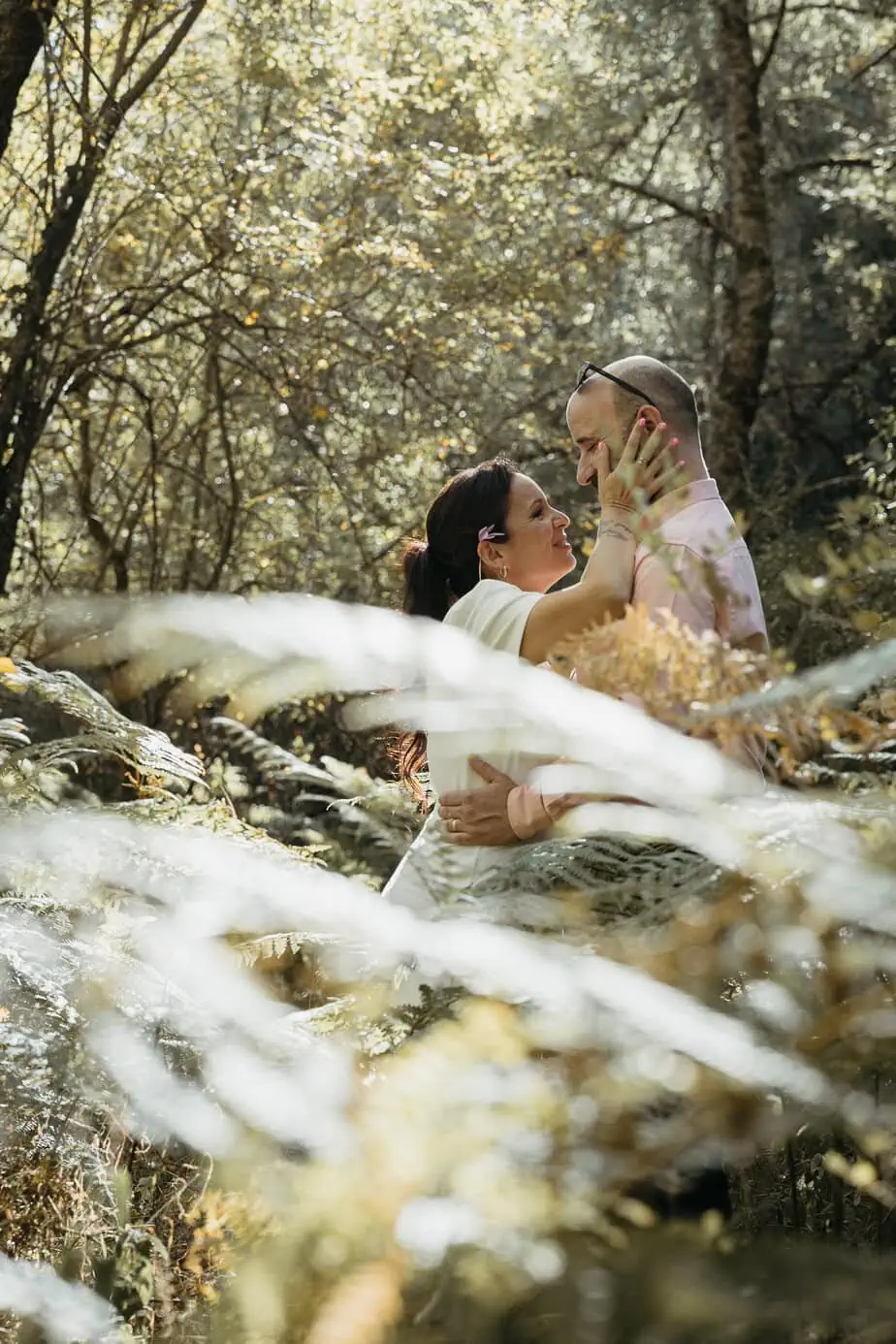 preboda bosque finlandes rascafria paseo bosque fotoarte c ()