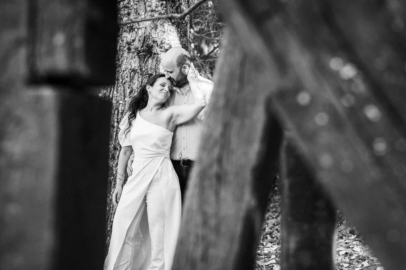 preboda bosque finlandes rascafria paseo bosque fotoarte c ()