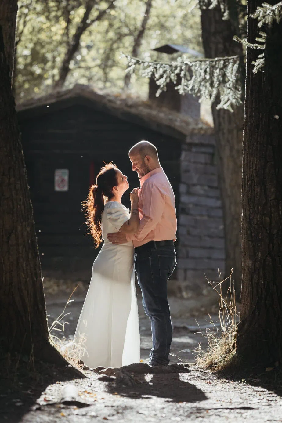 preboda bosque finlandes rascafria paseo bosque fotoarte c ()