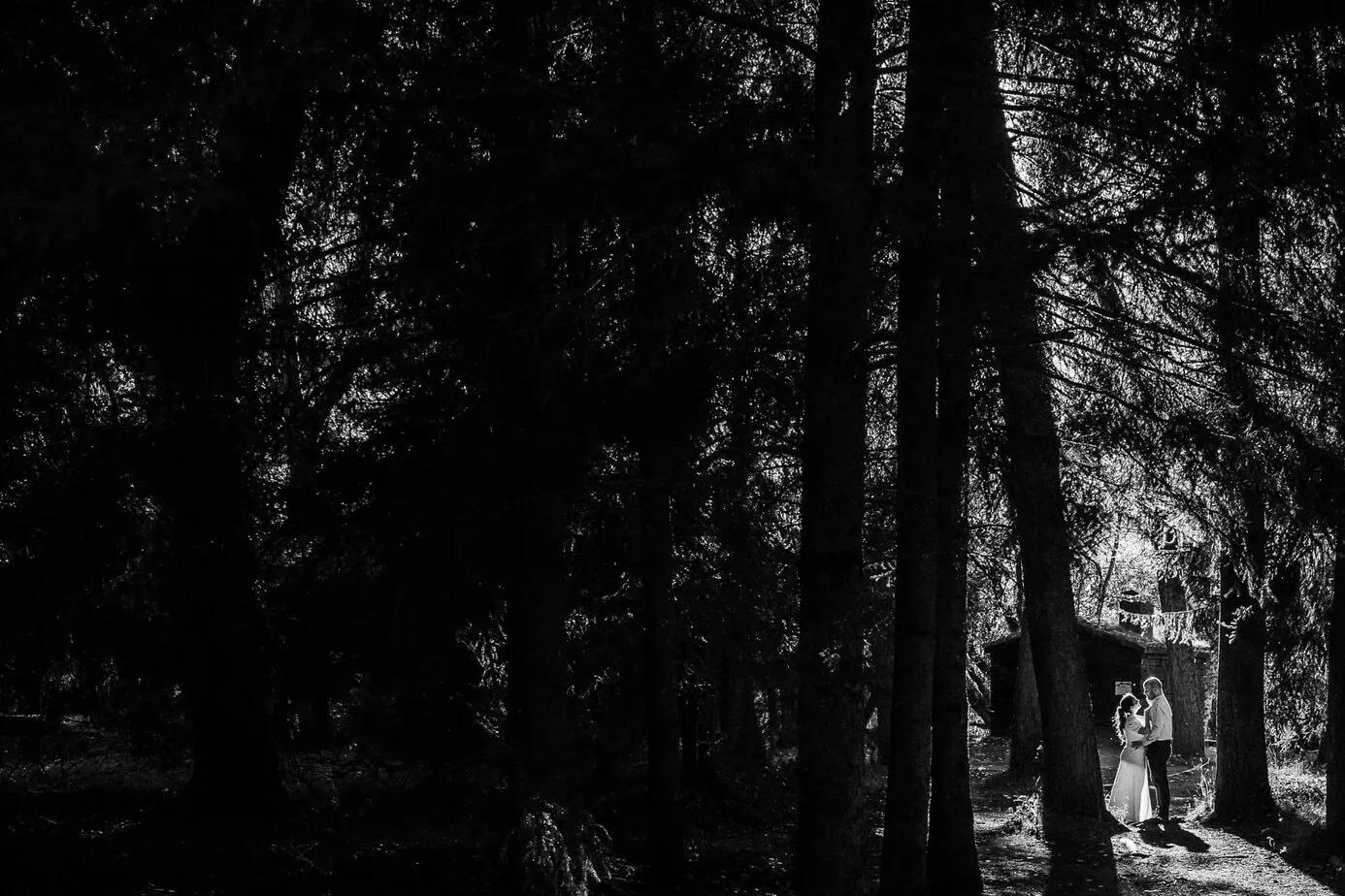 preboda bosque finlandes rascafria paseo bosque fotoarte c ()
