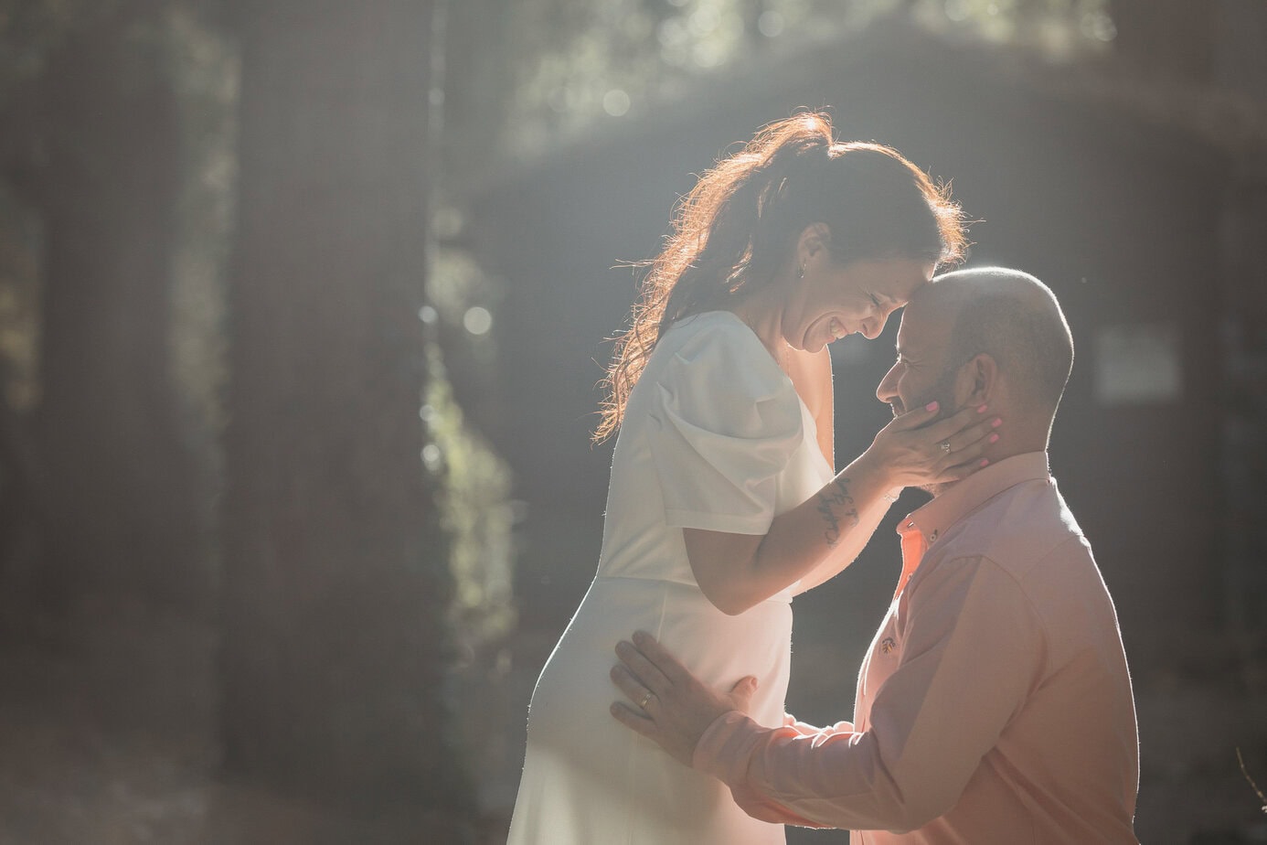 preboda bosque finlandes rascafria paseo bosque fotoarte c ()