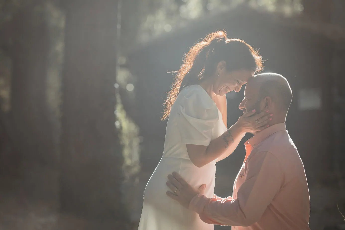 preboda bosque finlandes rascafria paseo bosque fotoarte c ()