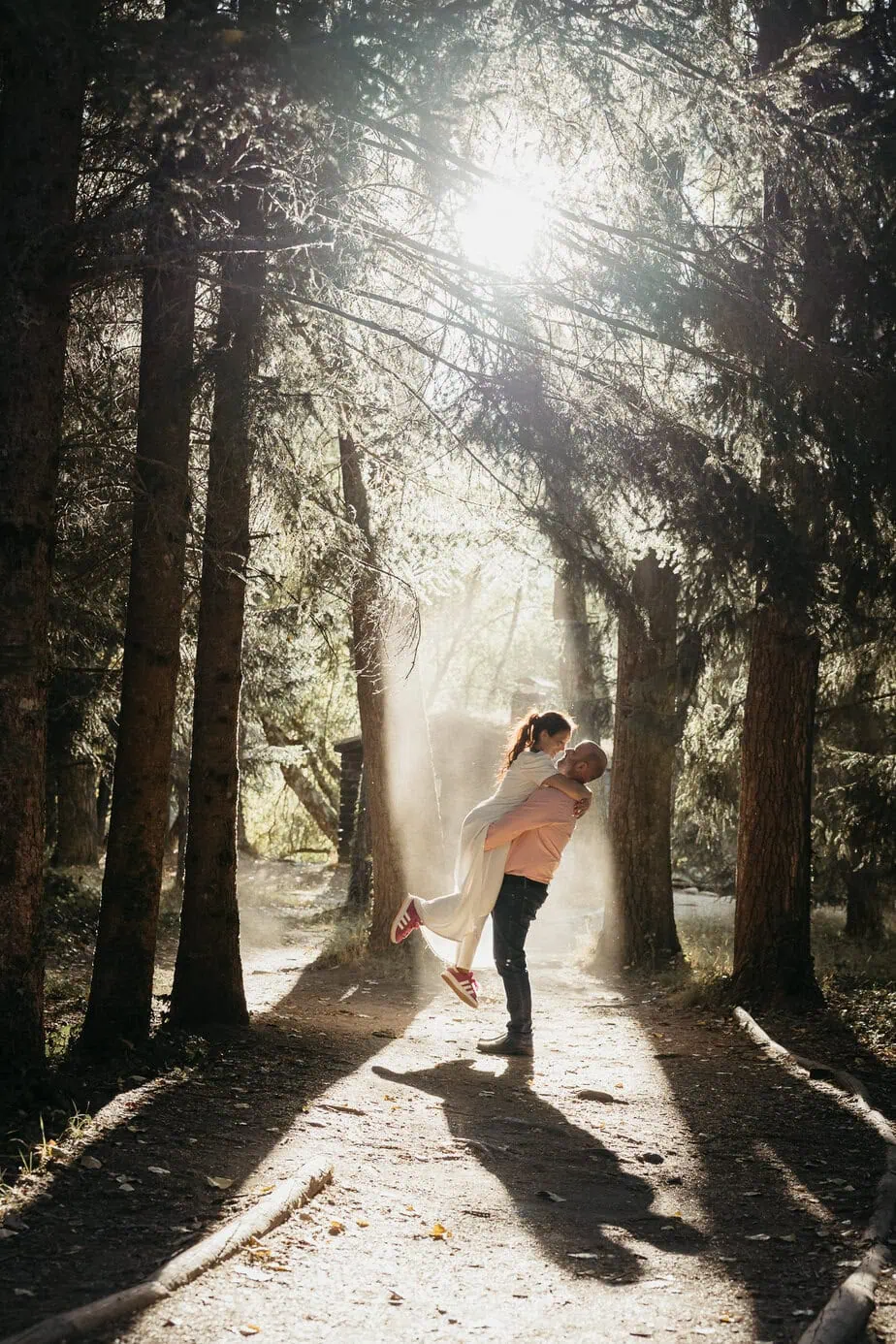 preboda bosque finlandes rascafria paseo bosque fotoarte c ()