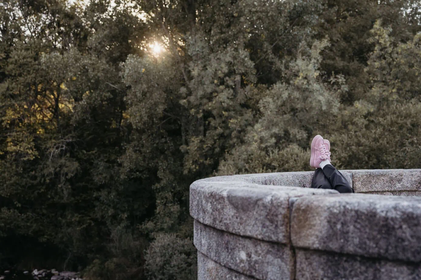 preboda bosque finlandes rascafria paseo bosque fotoarte c ()