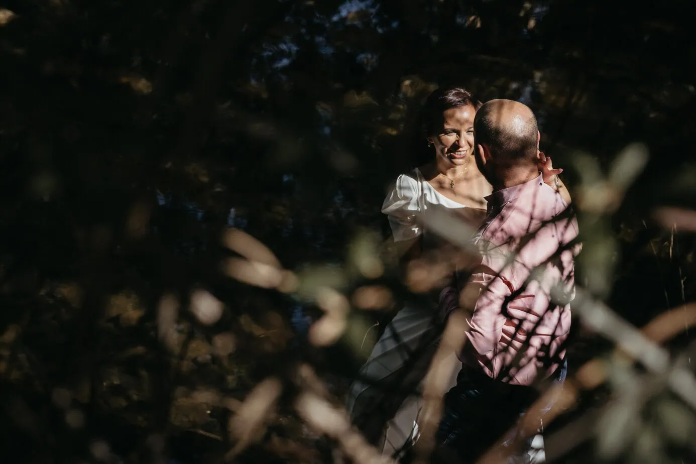 preboda bosque finlandes rascafria paseo bosque fotoarte c ()