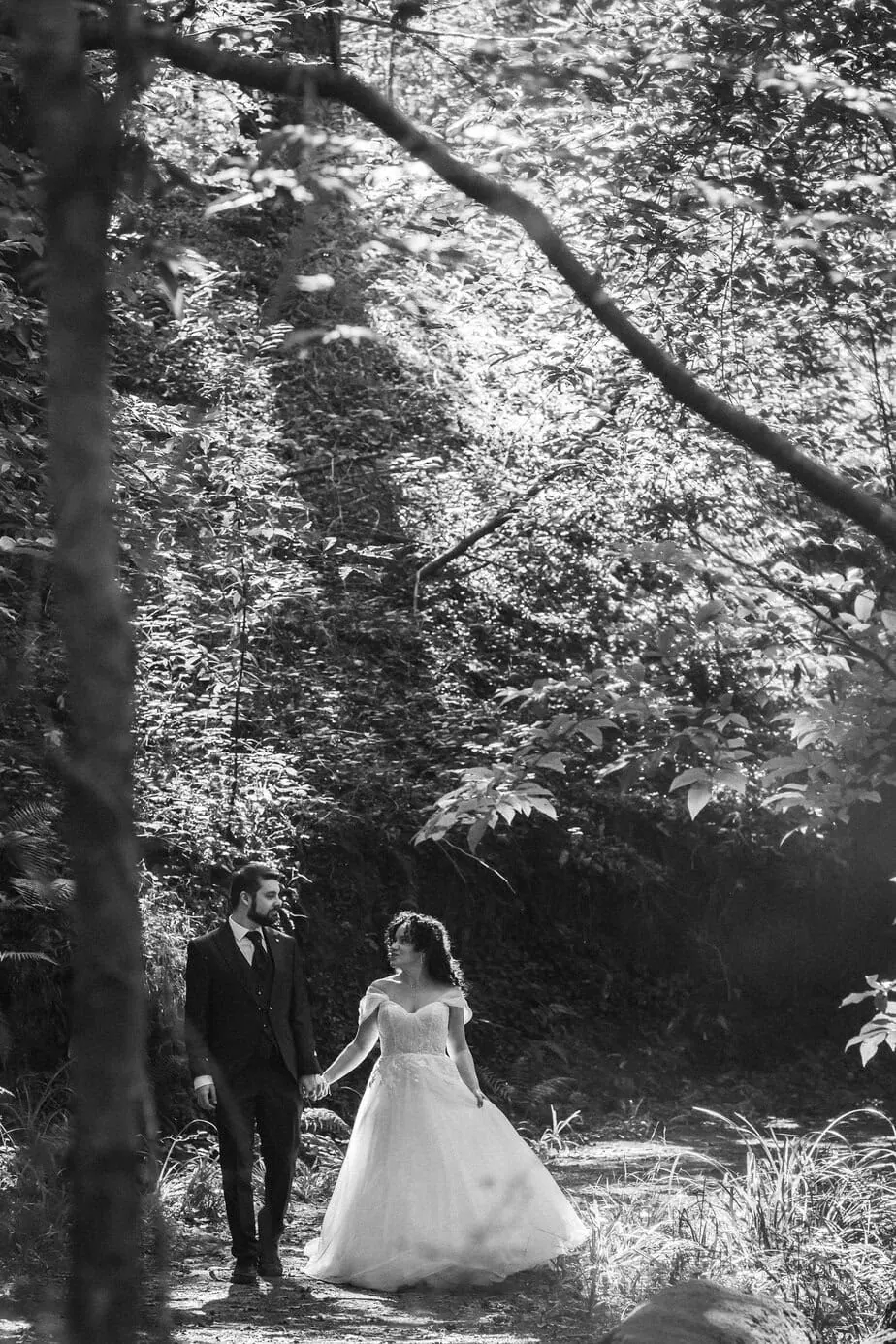 posboda bosque secuoyas cantabria luces sombras fotoarte c ()
