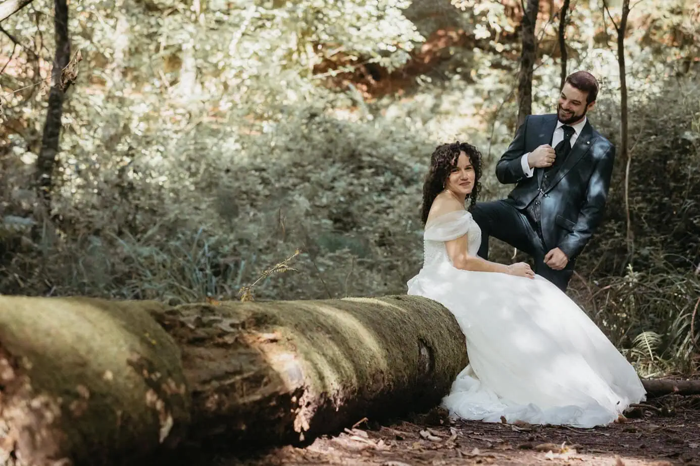 posboda bosque secuoyas cantabria luces sombras fotoarte c ()
