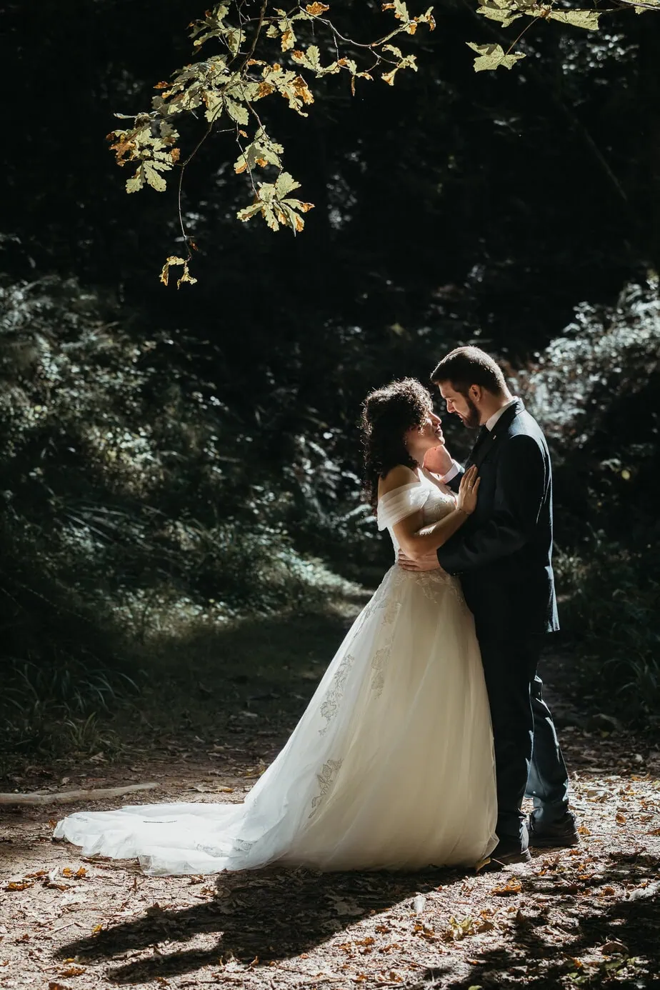 posboda bosque secuoyas cantabria luces sombras fotoarte c ()