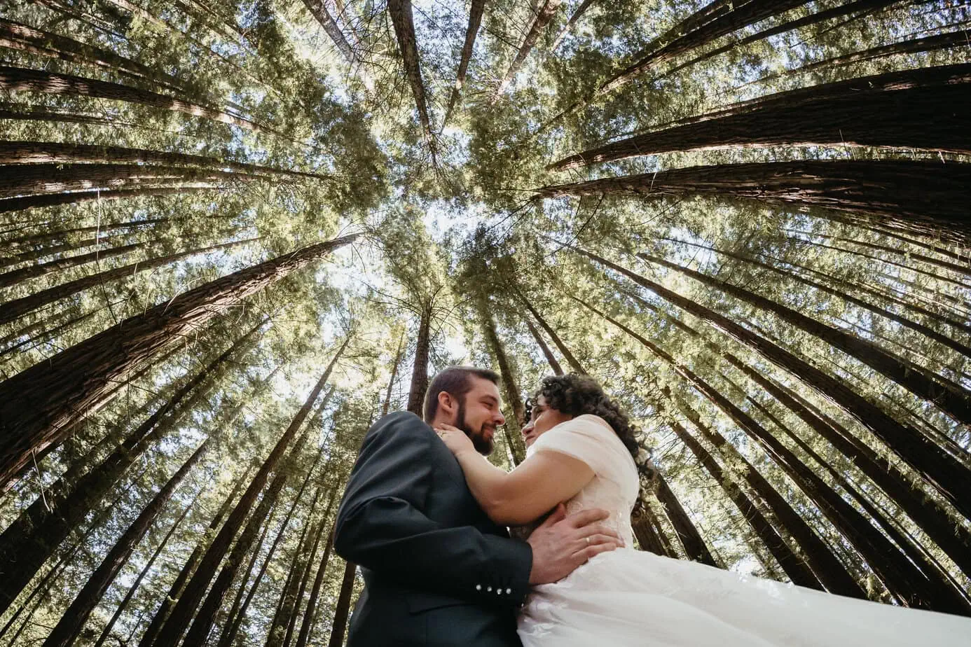 posboda bosque secuoyas cantabria luces sombras fotoarte c ()