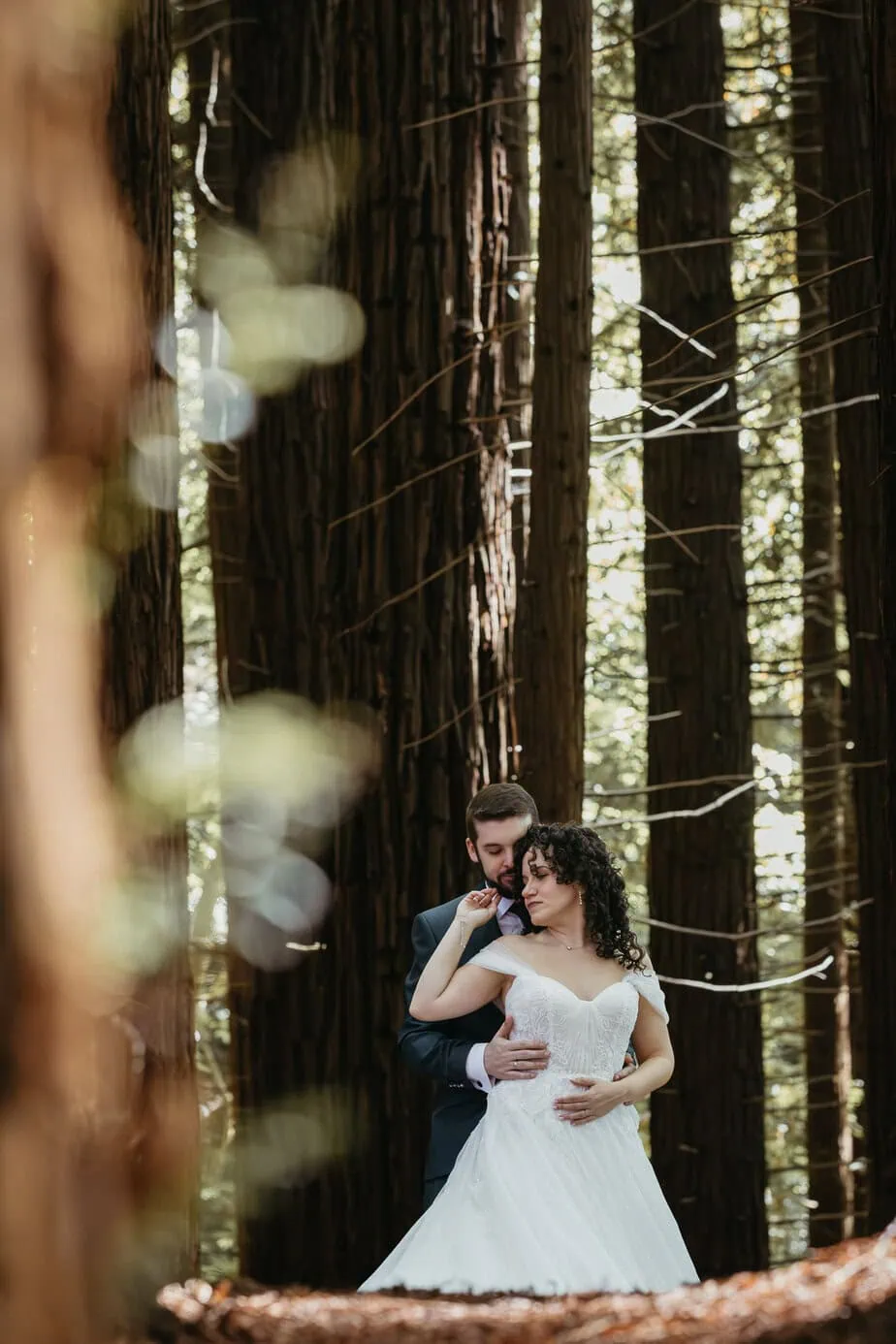 posboda bosque secuoyas cantabria luces sombras fotoarte c ()