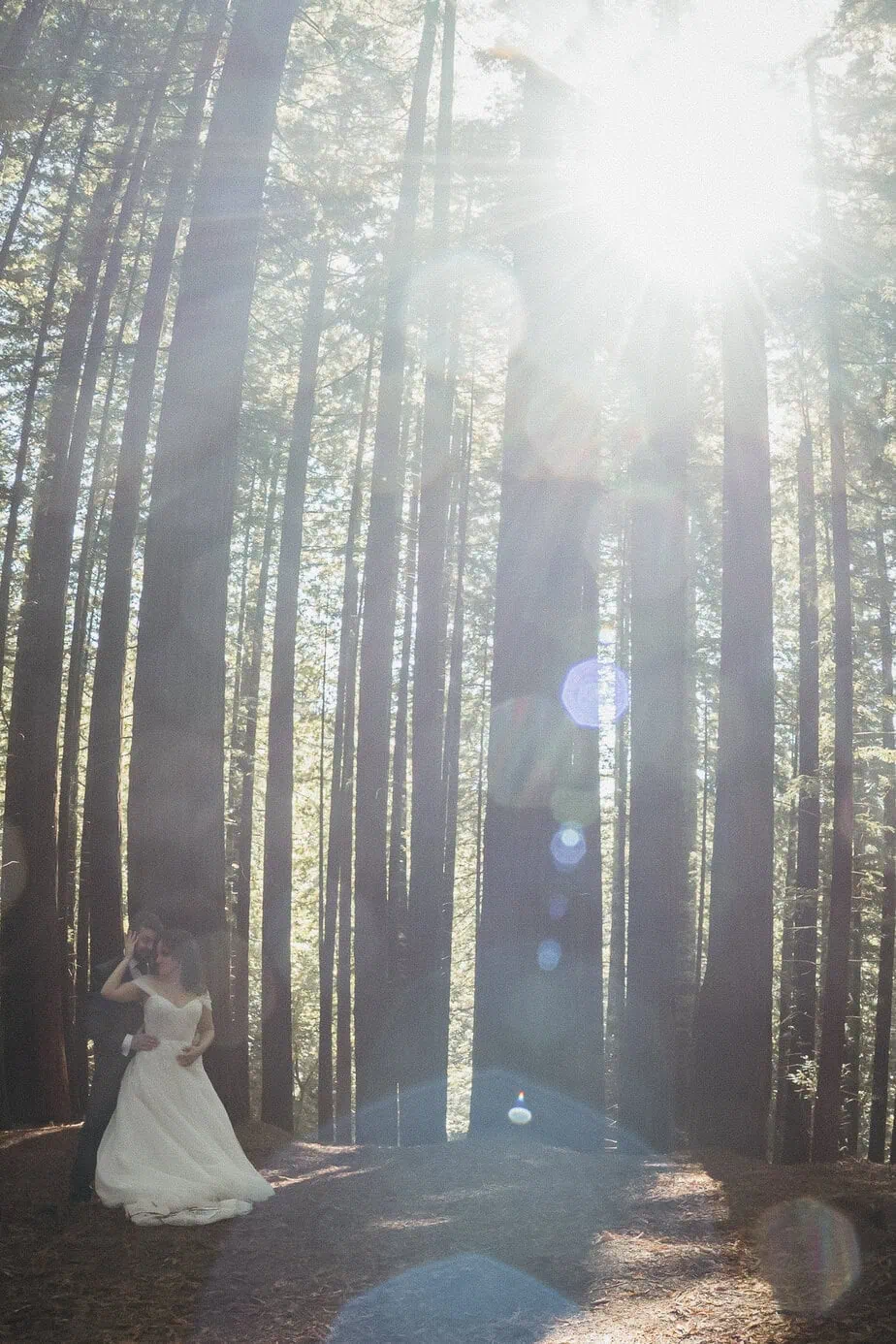 posboda bosque secuoyas cantabria luces sombras fotoarte c ()