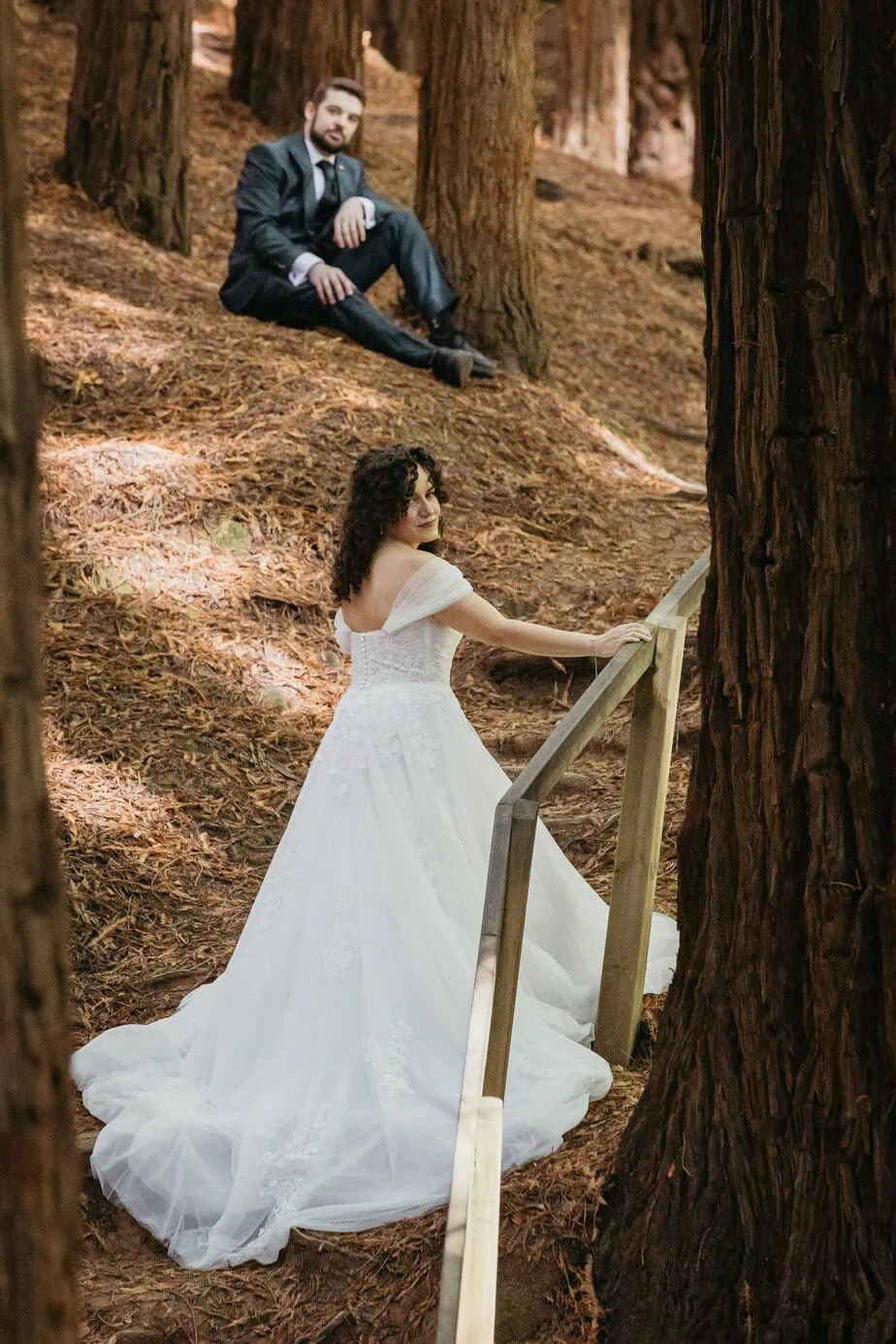 posboda bosque secuoyas cantabria luces sombras fotoarte c ()