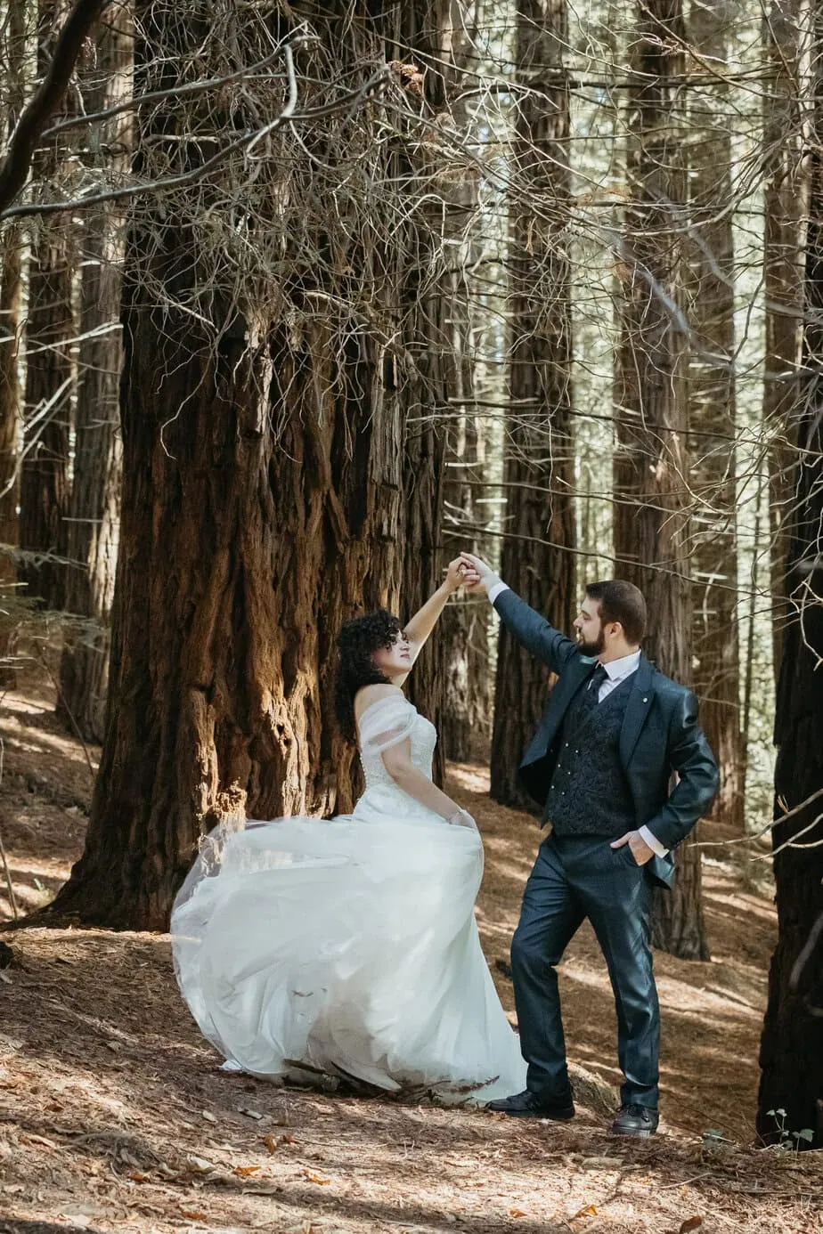 posboda bosque secuoyas cantabria luces sombras fotoarte c ()