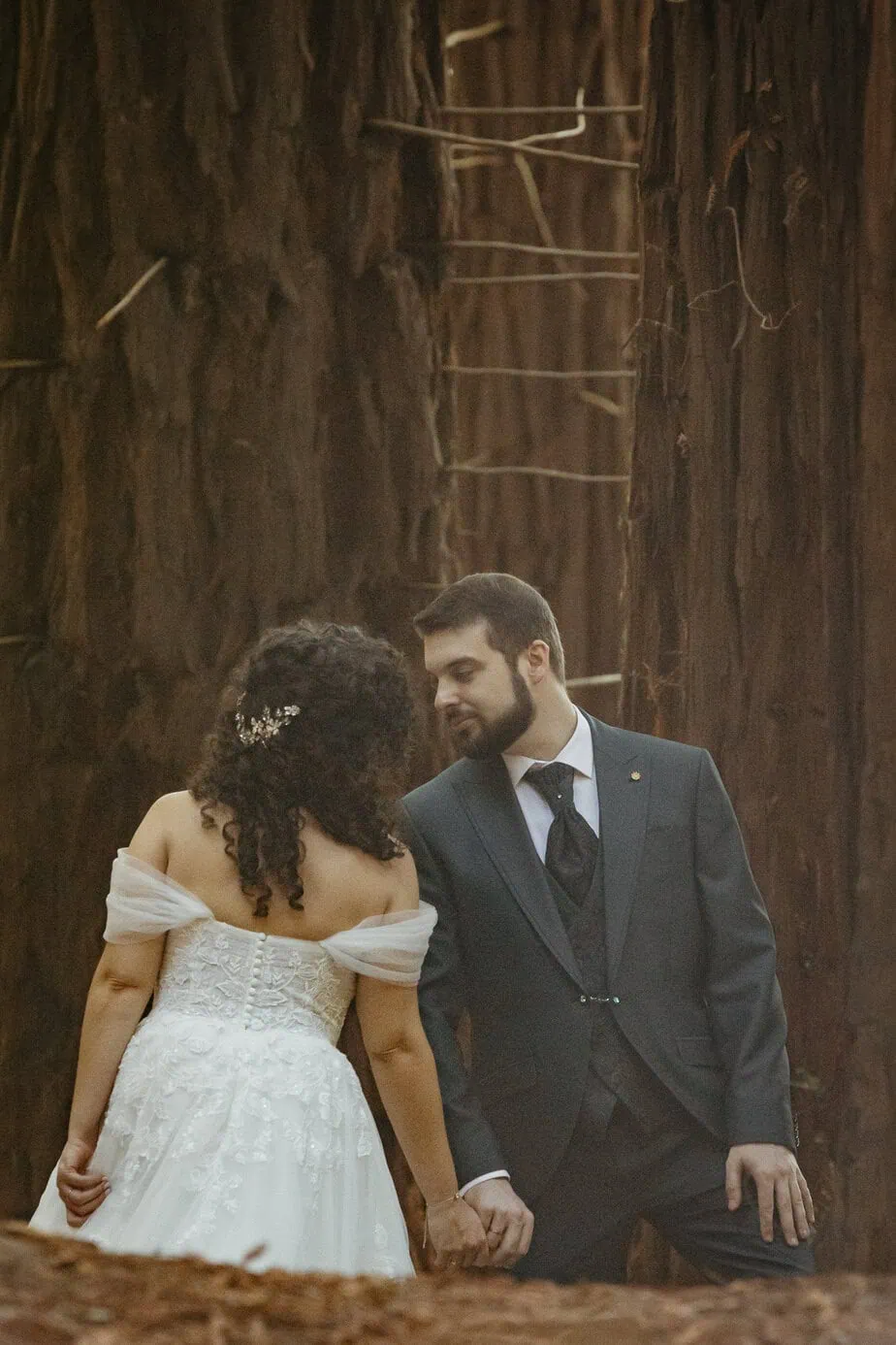 posboda bosque secuoyas cantabria luces sombras fotoarte c ()