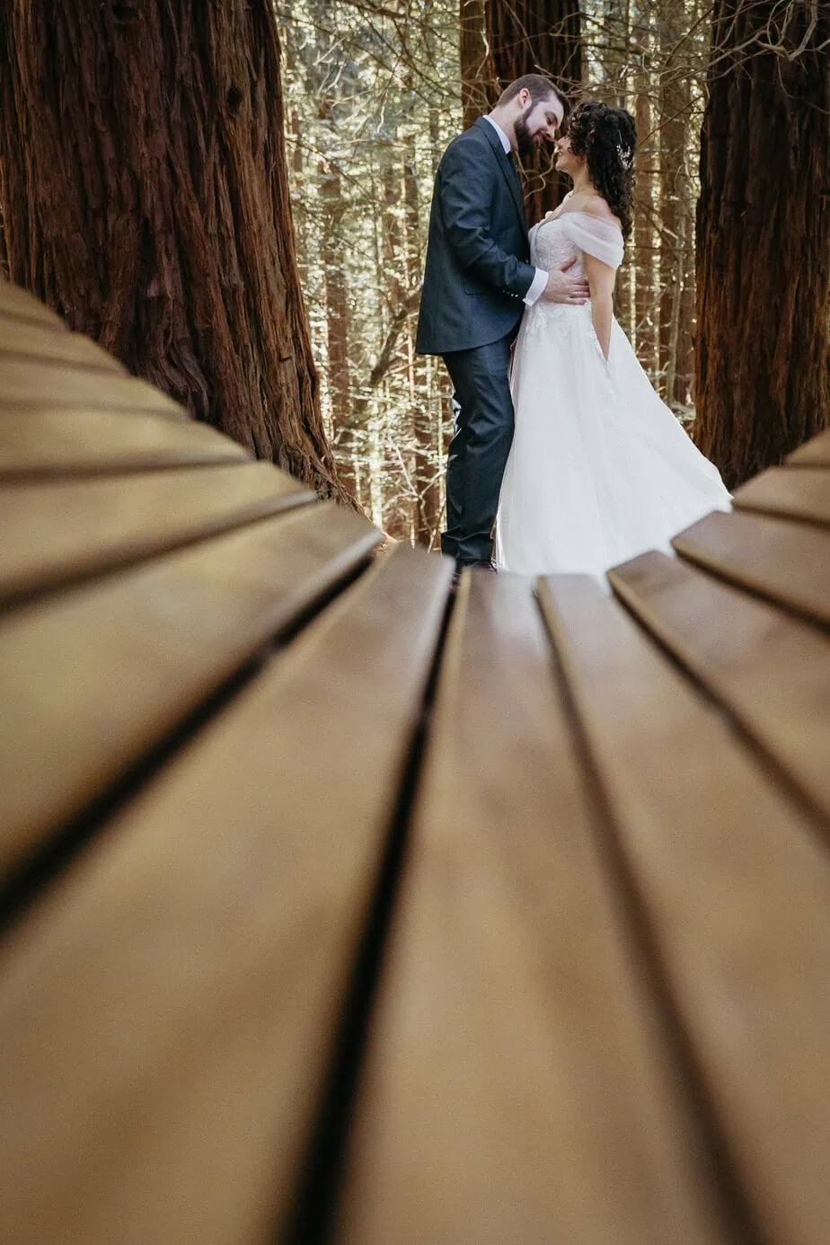 posboda bosque secuoyas cantabria luces sombras fotoarte c ()