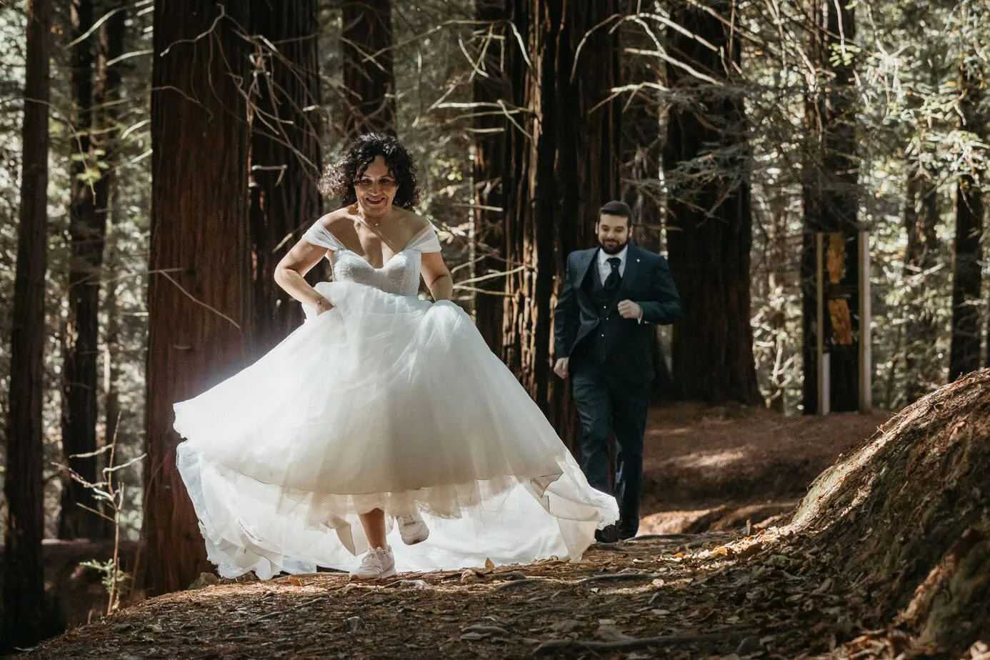 posboda bosque secuoyas cantabria luces sombras fotoarte c ()