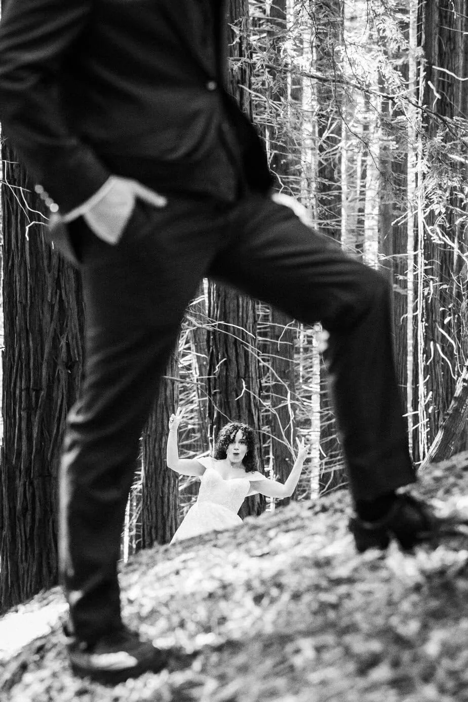 posboda bosque secuoyas cantabria luces sombras fotoarte c ()
