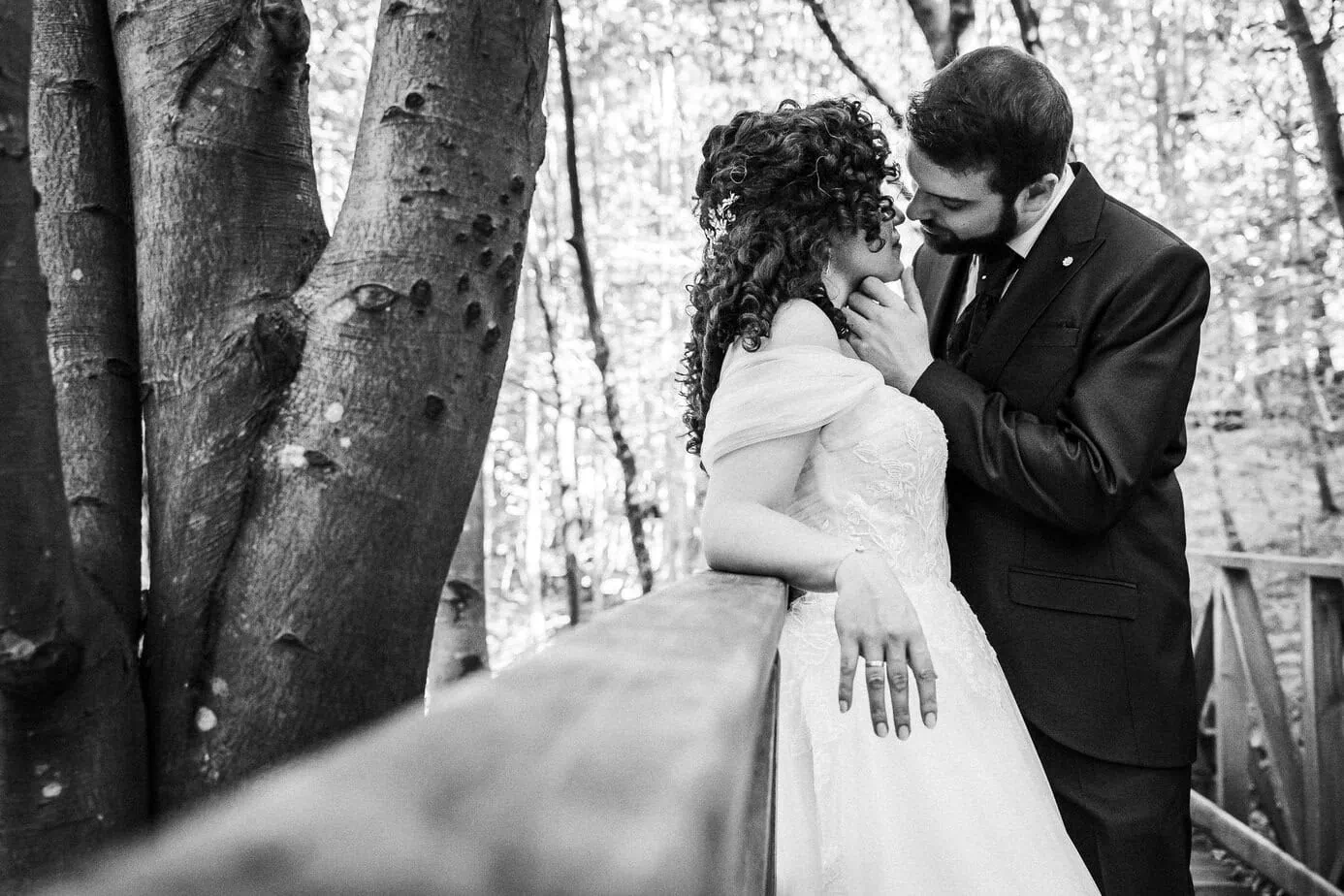 posboda bosque secuoyas cantabria luces sombras fotoarte c ()