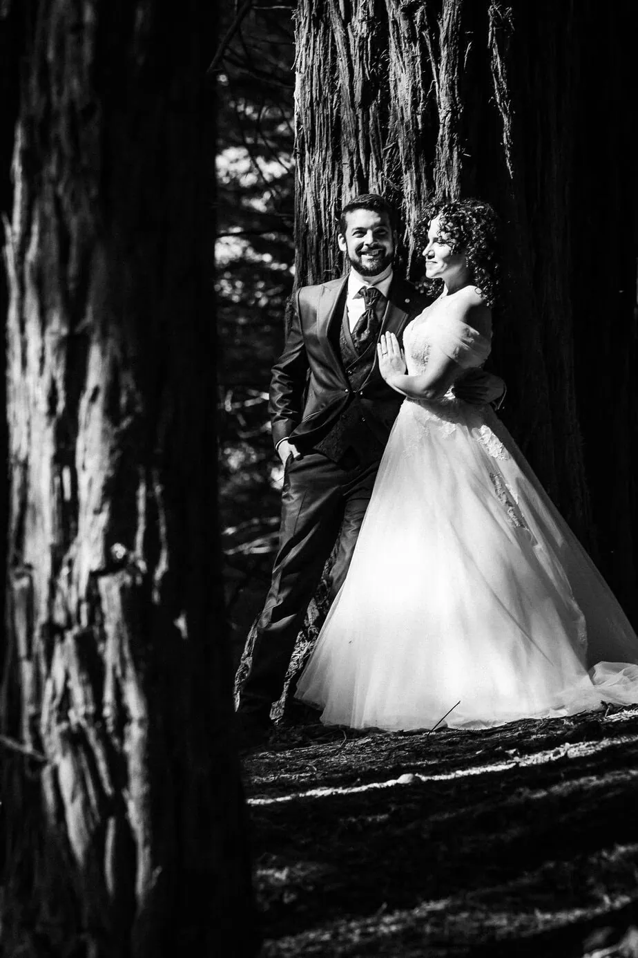 posboda bosque secuoyas cantabria luces sombras fotoarte c ()