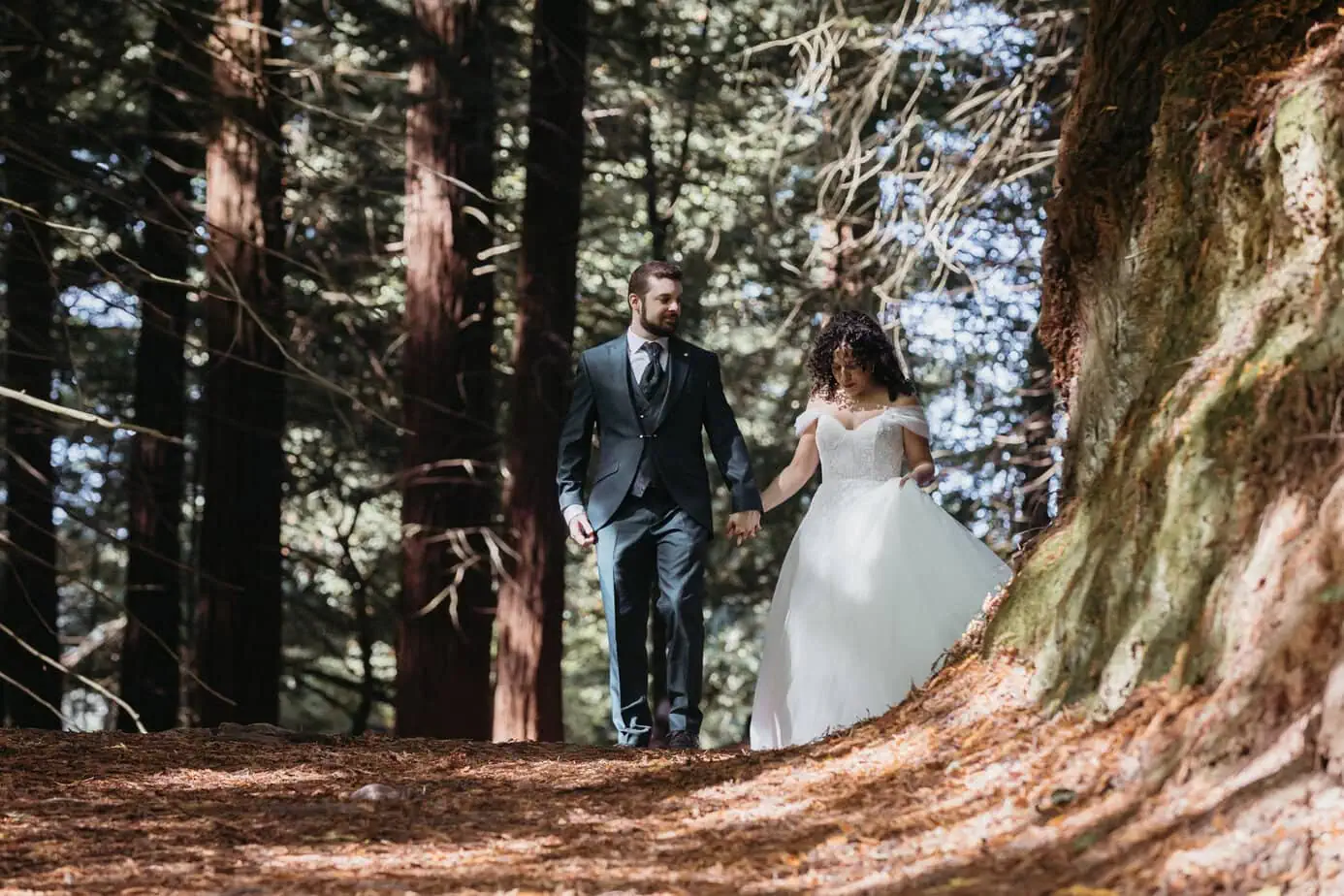 posboda bosque secuoyas cantabria luces sombras fotoarte c ()