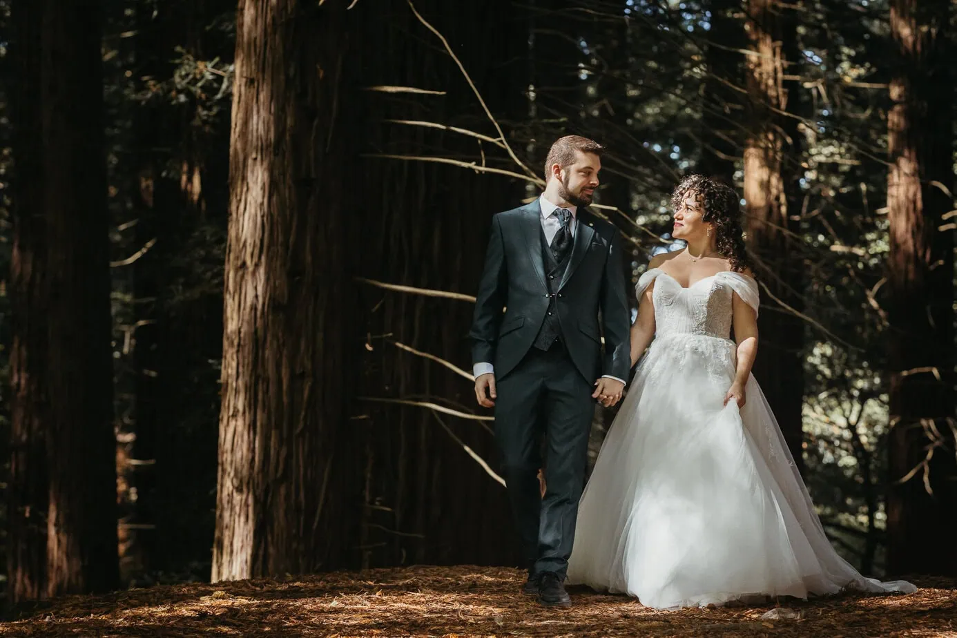 posboda bosque secuoyas cantabria luces sombras fotoarte c ()