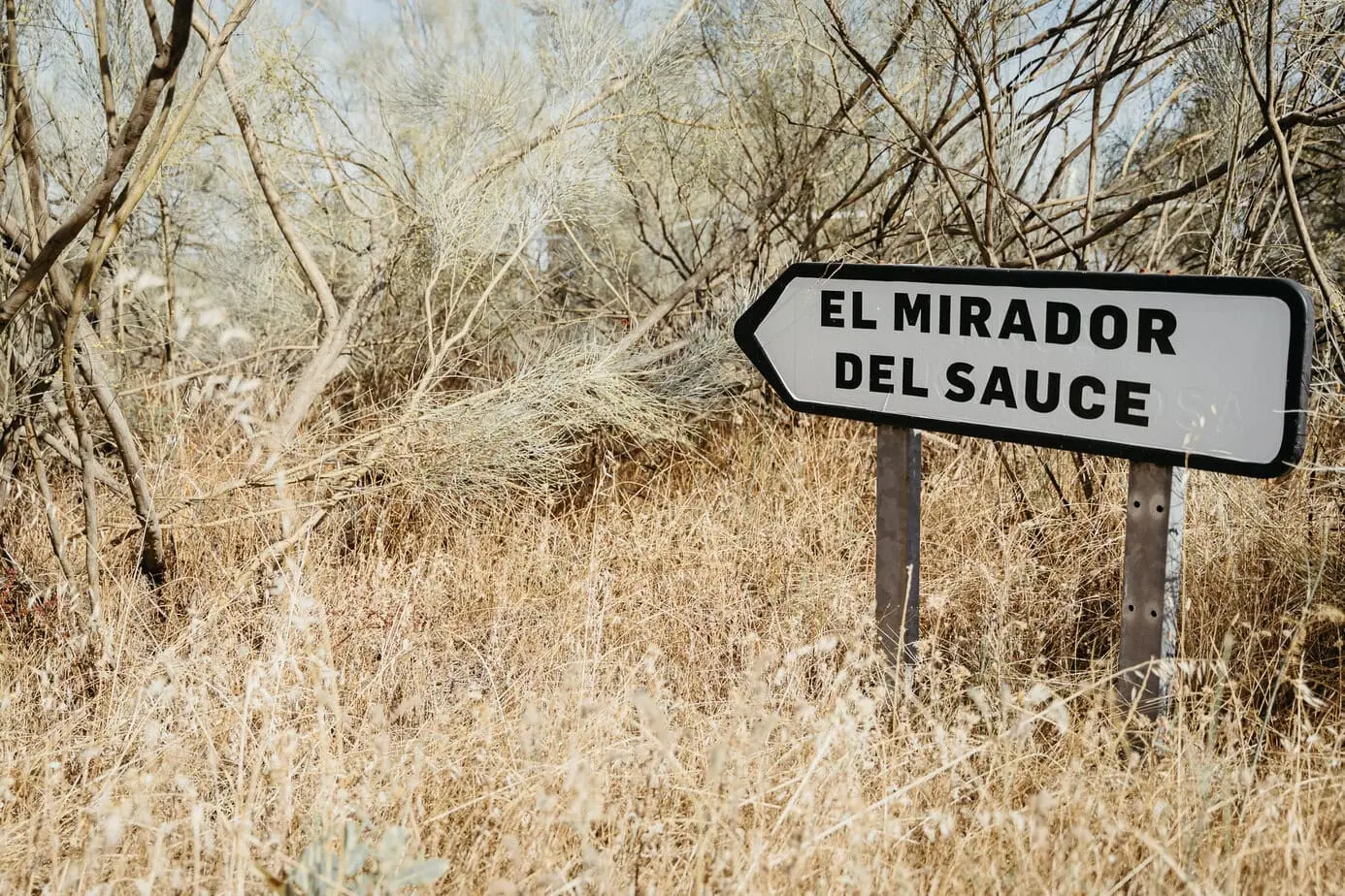 boda el mirador del sauce marina y pablo detalles fotoartec ()