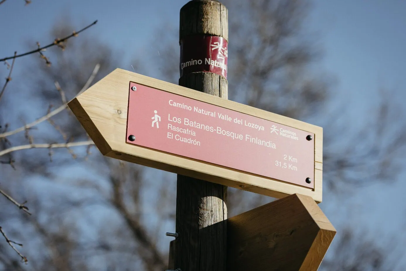 Reportaje Postboda Bosque Finlandes Rascafria Madrid ()