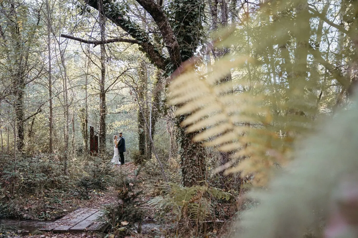 Reportaje Postboda Bosque Finlandes Rascafria Madrid ()